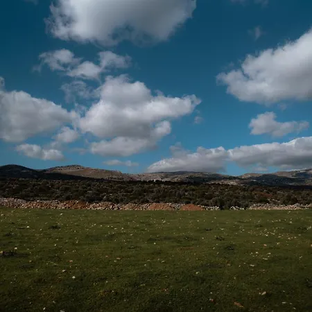 Апартаменты Mitatos 