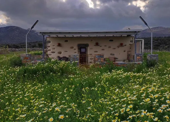 Апартаменты Mitatos 